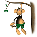 pic for Hanging Monkey  